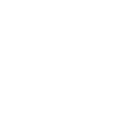 XtremeDominators