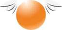Orange Esports