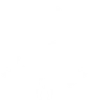 Lund Esports Organization