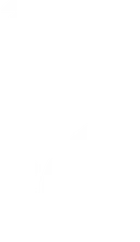 LFL Division 2 1 2020