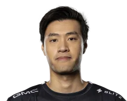 WildTurtle
