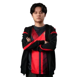 Dino