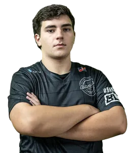 Rein