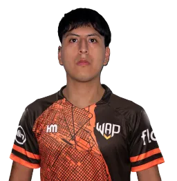 Pasha
