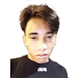 Swoof