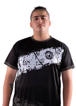 Perro
